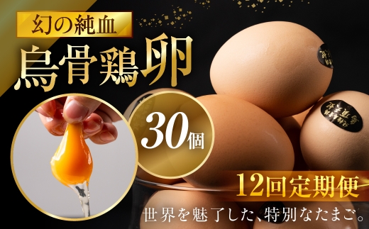 【定期便 12ヶ月】烏骨鶏卵 モールド 30個セット (10個入 × 3パック) たまご 卵 玉子 鶏 高級 高級卵