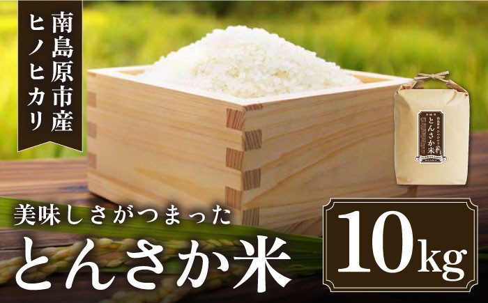 
            【南島原市産ヒノヒカリ】とんさか米 10kg / ひのひかり 米 お米 こめ コメ 精米 / 南島原市 / 林田米穀店 [SCO001]
          