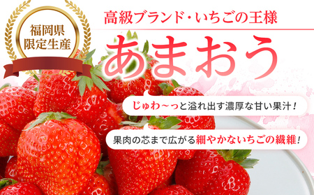 【アフター保証】福岡県産 JAグループ あまおういちご 1620g（約270g×6パック）【2024年3月中旬以降発送開始】 AG009-1