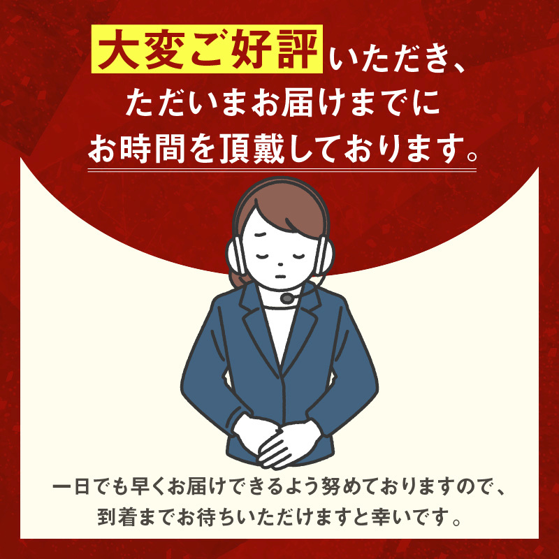 いかめし16尾セット（2尾×8Ｐ）_HD231-007 ふるさと納税 いかめし セット 選べる 内容量 16尾 2尾ずつ 個包装 イカ 飯 柔らか 食感 伝統製法 駅弁風 いかのふる里 常温 レトルト