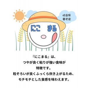 令和7年産　にこまる　白米　5kg【1693239】