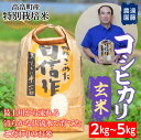 【ふるさと納税】米 玄米 コンクール殿堂入り農家が贈る 令和6年度 山形県産 特別栽培米 コシヒカリ 2kg 5kg | ふるさと納税 米 玄米 高級 お米 ブランド米 山形 遠藤農園 高畠町 2024 2025 ふるさと 人気 送料無料 F21B-165var