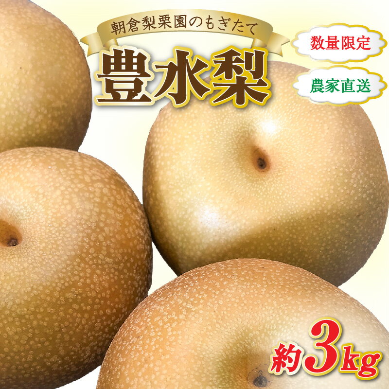 【ふるさと納税】【先行予約】《数量限定》豊水梨 7～8玉入 約3kg もぎたて 新鮮 ／ 期間限定 果物 フルーツ 農家直送 お取り寄せ 豊水 梨 なし 福井県 あわら市 あわら産 ※2026年9月上旬より順次発送予定