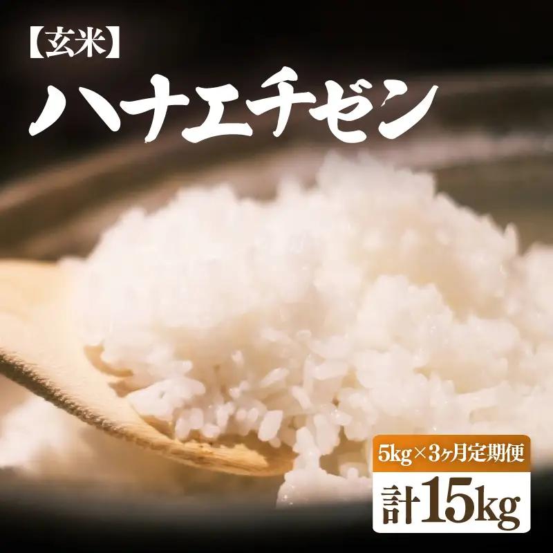 【先行予約】【令和8年産・新米】定期便 ≪3ヶ月連続お届け≫ ハナエチゼン 5kg × 3回（計15kg）【2026年10月中旬以降順次発送】【玄米】 [e26-c002_02]