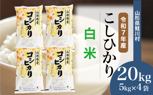 ＜令和7年産＞ こしひかり 【白米】 20kg （5kg×4袋）＜配送時期選べます＞　山形県鮭川村