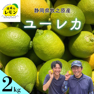 【ふるさと納税】 事前受付 牧之原産 波乗りレモン ユーレカ 2kg 国産 Lemon 檸檬 柑橘類 柑橘 フルーツ 果物 酸っぱい 果肉 酸味 防腐剤不使用 静岡県 牧之原市 