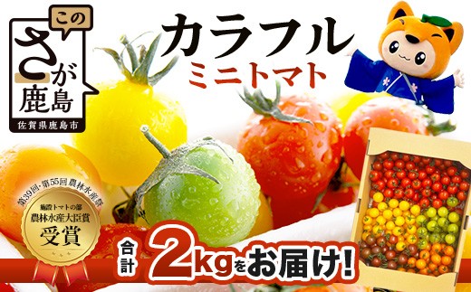 岩永さんちの カラフル ミニトマト 5色 約2kg（1kg箱×2） |【農林水産大臣賞受賞】有機肥料・化学肥料不使用 | 生産者直送 野菜 トマト 2kg とまと プチトマト サラダ やさい 旬 新鮮 おやつ お弁当 人気 送料無料 佐賀県 鹿島市 C-185