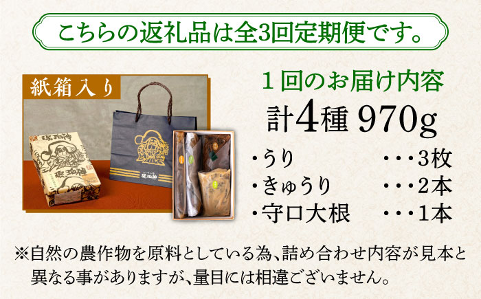 【全3回定期便】奈良漬 「琥珀漬」紙箱入り 970g【明治神宮ご奉献品】《築上町》【有限会社奈良漬さろん安部】奈良漬 奈良漬け ギフト 贈り物 贈答 [ABAE049]