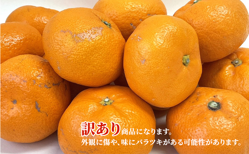 【2025年11月中旬より順次発送】『訳あり』 三ヶ日みかん 早生 2.5kg みかん ミカン 果物 柑橘 フルーツ 訳あり 静岡 浜松市