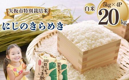 矢板市特別栽培米 にじのきらめき 白米 5kg×4P | お米 米 こめ 白米 玄米 にじのきらめき コシヒカリ こしひかり 美味しい お弁当 選べる エコ スマート 環境 手間暇 土づくり  ふるさと 納税 栃木県 矢板市