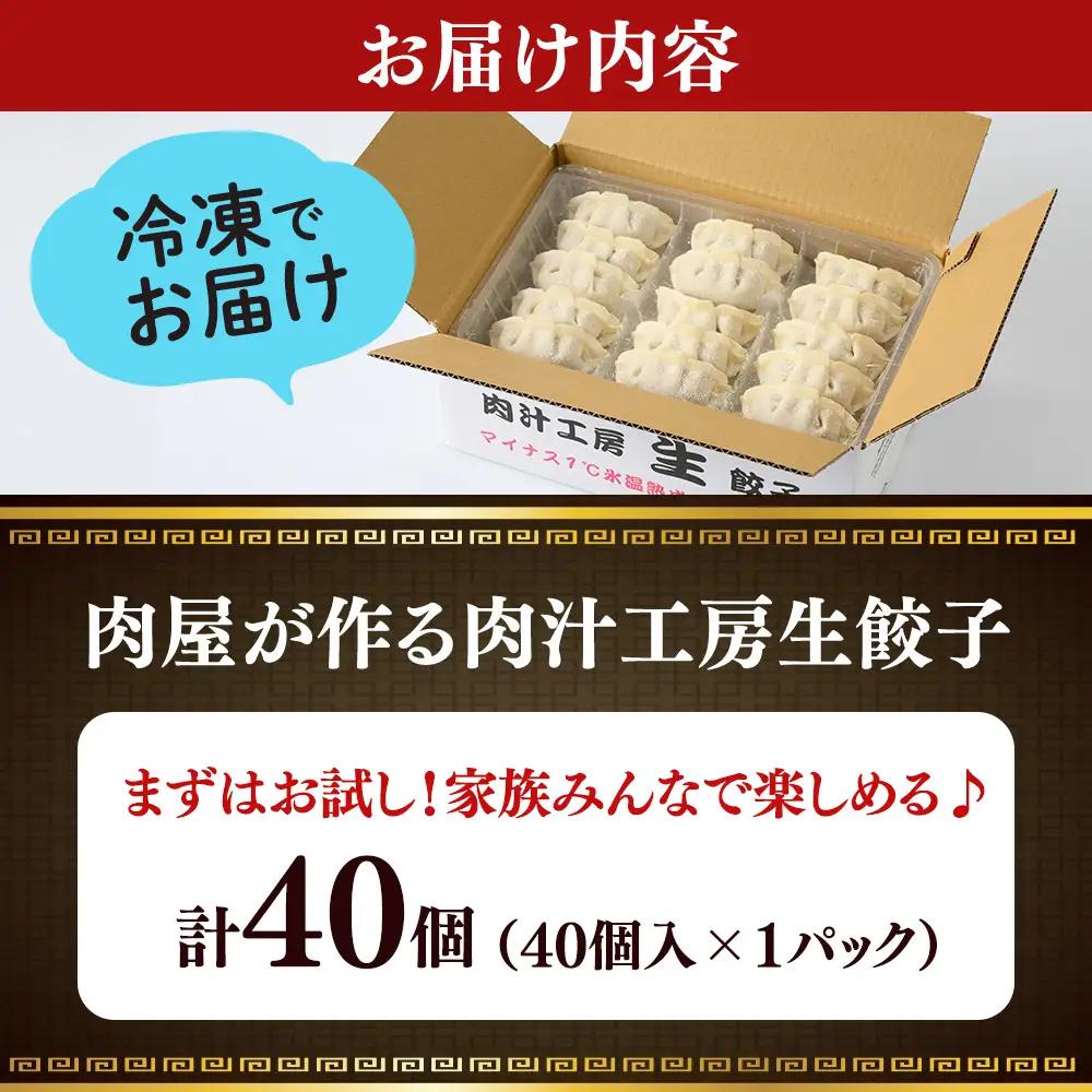 冷凍 生餃子 大人のピリ辛 肉屋の餃子（40個入り） 1パック