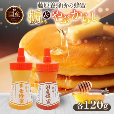ふるさと納税 盛岡市 藤原国産蜂蜜 栃&amp;やぶからし 計240g 完熟 単花蜜 藤原養蜂場 岩手県盛岡市