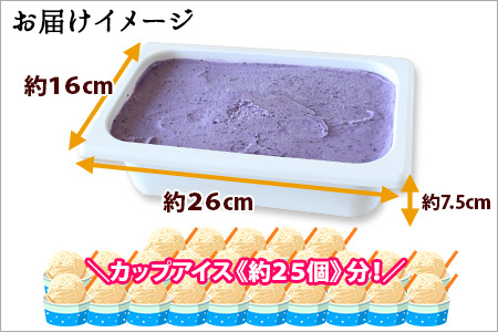 604.アイスクリーム ブルーベリー ジェラート ベリー 業務用 2リットル 2L アイス 大容量  手作り 北海道 弟子屈町