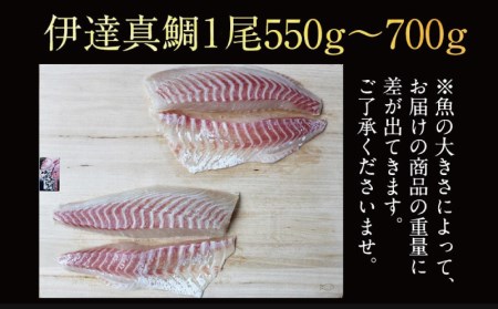 伊達真鯛 550~700g 刺身 1尾 4節 宇和島プロジェクト 真鯛 鯛 マダイ タイ お刺身 お刺し身 刺し身 真空パック フィーレ お手軽 鯛めし 鯛茶漬け 鯛しゃぶ 塩焼き 煮付け アレンジ 