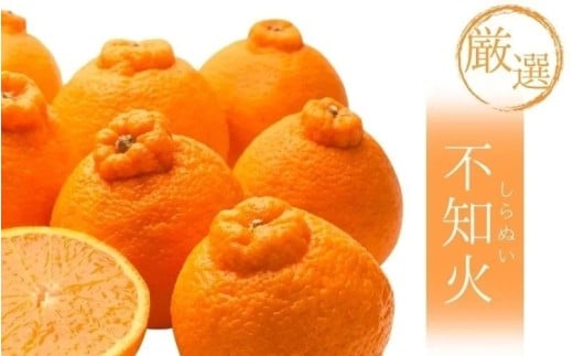 ＜2月より発送＞厳選不知火5kg+250g（傷み補償分）【デコポンと同品種・人気の春みかん】 / 和歌山 みかん ミカン 果物 フルーツ 果実 柑橘 オレンジ デコポン【ikd162C】