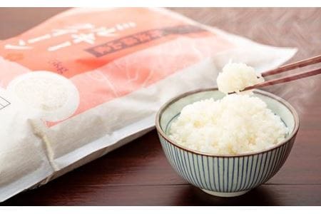 新米　R５年産　丹波篠山産特別栽培コシヒカリ白米5kg　R５年産　丹波篠山産特別栽培ミルキークイーン白米5kg BE03