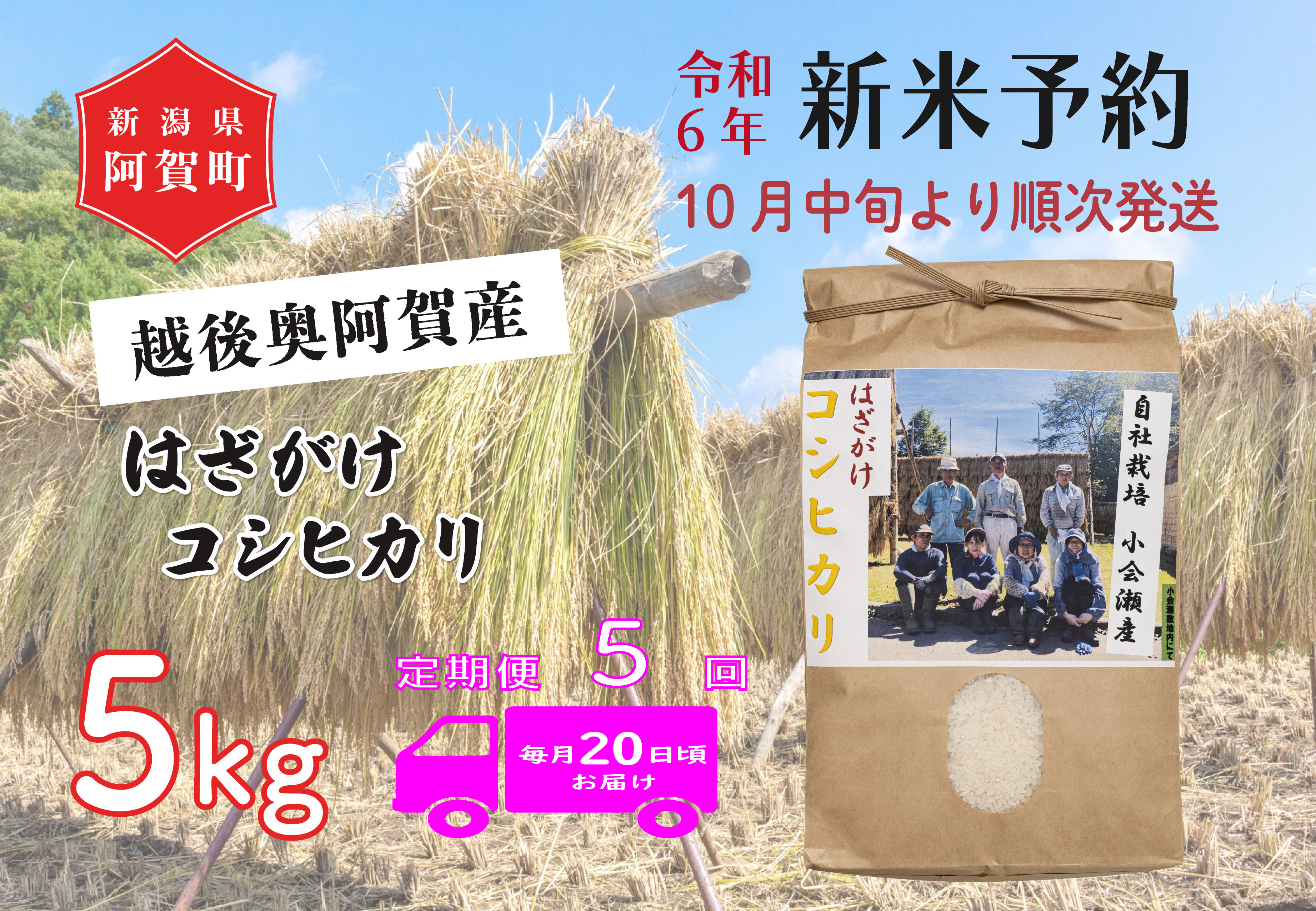 
《令和6年産米》【定期便】5回　越後奥阿賀産はざがけ（天日干し）コシヒカリ　5kg（1袋）
