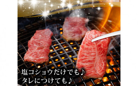 C25-029 最上等級A5ランク 鳥取和牛特上カルビ(400g）（2～3人前）