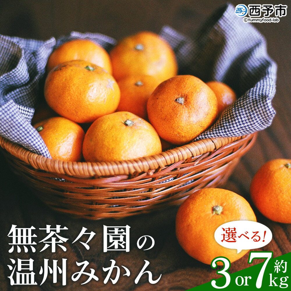 【ふるさと納税】先行予約 ＜無茶々園 温州みかん 約3kg／7kg＞ 果物 くだもの ミカン 蜜柑 柑橘 フルーツ うんしゅうみかん 選べる内容量 贈り物 ギフト おいしい 期間限定 季節限定 食べて応援 特産品 愛媛県 西予市 【常温】『2025年11月～12月に順次出荷予定』