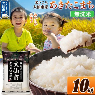 ふるさと納税 大仙市 米 あきたこまち【無洗米】 令和7年産 10kg|22_ssn-031001_sf