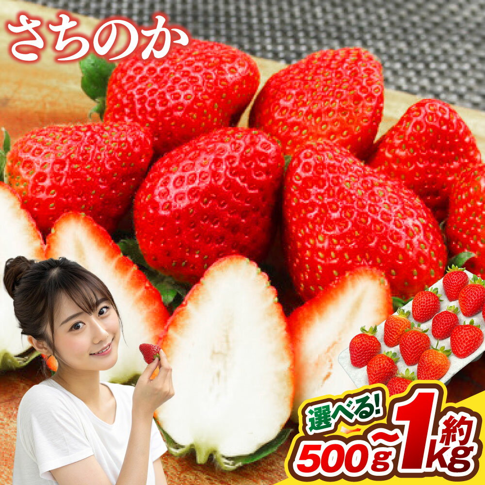 【ふるさと納税】＜選べる内容量＞いちご「さちのか」 約500g×1箱 / 計約1kg（500g×2箱） いちご イチゴ 苺 フルーツ くだもの 果物 果実 デザート 冷蔵 長崎市産 長崎県 長崎市 送料無料 【2027年1月上旬～3月上旬出荷予定】