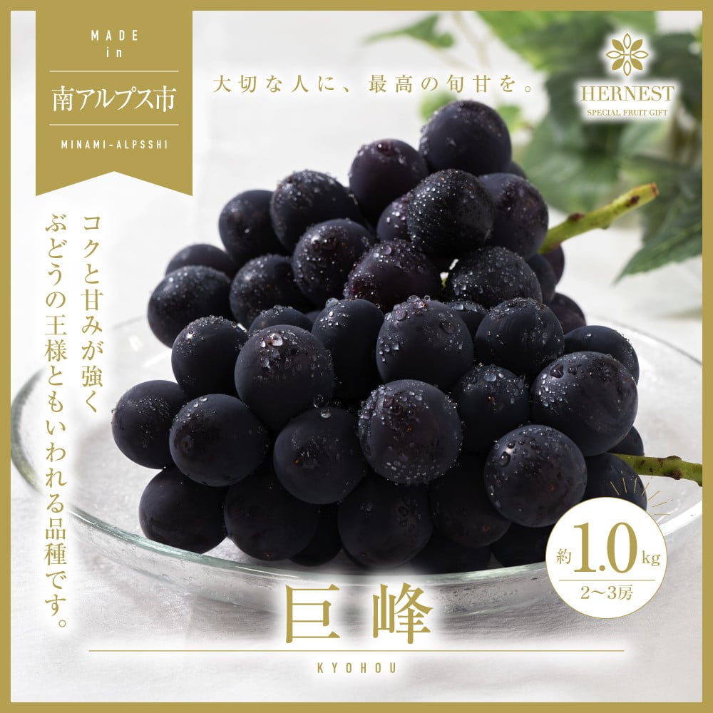 
            ＜2026年発送分先行予約＞南アルプス市産　旬の採れたて巨峰　2～3房入り　約1kg ALPAH011
          