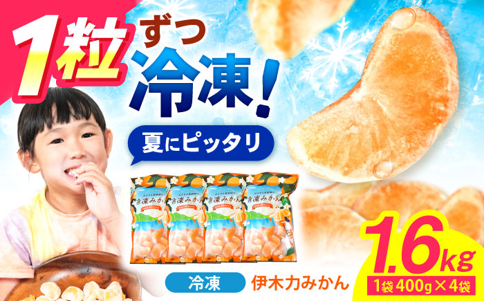 ※【2025年11月発送分／先行予約】冷凍 伊木力みかん 400g×4袋 計1.6kg / みかん ミカン 蜜柑 冷凍みかん 伊木力みかん 冷凍 / 諫早市 / 山野果樹園 [AHCF006]
