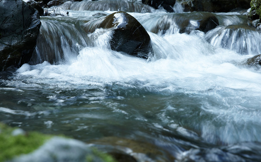 米焼酎「百」500ml×1本 23度 焼酎 米こうじ 森のくまさん
