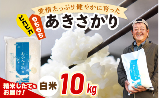 【先行予約】令和8年産 愛情たっぷり健やかに育った ピカピカ もちもち あきさかり（白米）10kg【2026年10月上旬以降順次発送予定】新米 お米 ブランド米 kome おこめ こめ コメ  [m29-b006]