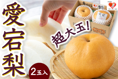 【先行予約】佐藤ファーム 愛宕梨 超大玉 2玉入 2025年11月上旬 出荷予定