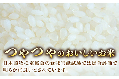 スイートミルク 5キロ×2袋 五島市 / 山口商店 [PEC003] 米 精米 白米 ご飯 米 精米 白米 ご飯 米 精米 白米 ご飯 米 精米 白米 ご飯 米 精米 白米 ご飯