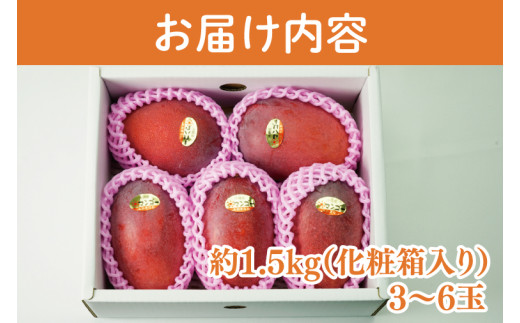 【2026年6月より順次発送】【先行予約】アーウィンマンゴー 3～6玉(約1.5kg)【白箱】 ご家庭用｜マンゴー アーウィンマンゴー アーウィン フルーツ 果物 くだもの おきなわマンゴー おきなわ