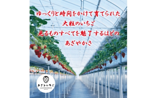 ＜12月25日から順次出荷＞あざといちご　3Lサイズ　12粒入り　ロックファーム京都【1786952】