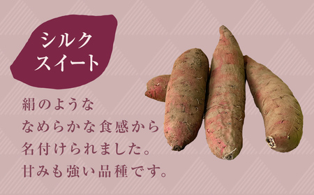 【先行予約】＜シルクスイート＞富山県産 さつまいも 5kg 【2025年12月以降順次発送】 富山県 氷見市 サツマイモ 自然豊か シルクスイート なめらか
