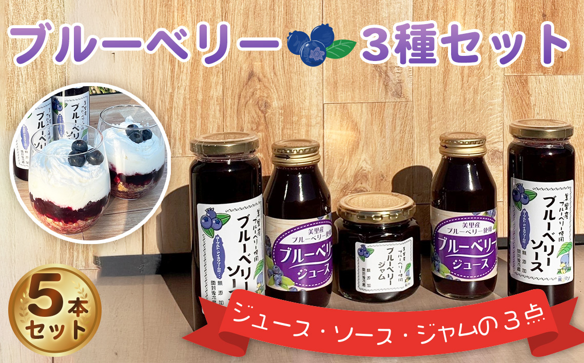 
                  ブルーベリー加工品フルセット [No.228] ／ ブルーベリー 無農薬 ジュース ソース ジャム フルセット 美里町産 飲み切り ヨーグルト トースト 朝食 手作り フルーツ 甘酸っぱい 贈り物 埼玉県 特産品
                