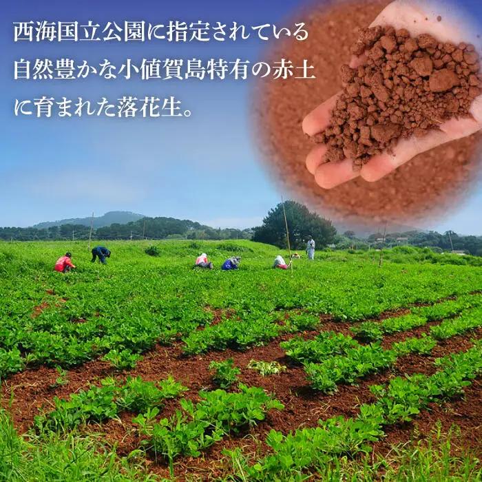 幻のむき身落花生 40g×5 ピーナッツ[DAA036] 落花生 ピーナッツ