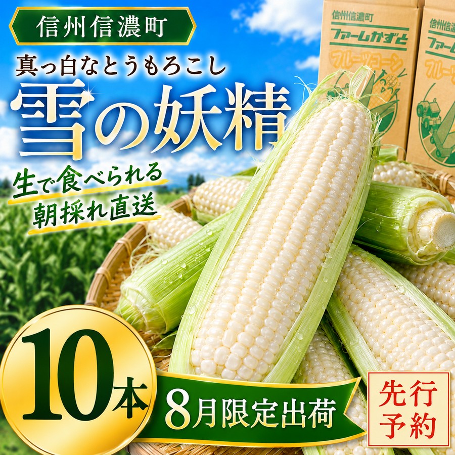 【ふるさと納税】《先行予約》真っ白なとうもろこし｢雪の妖精｣ 生で食べられる ホワイトコーン 朝採れ直送　《8月上旬-8月下旬頃出荷予定》 ファームかずと【長野県信濃町ふるさと納税】