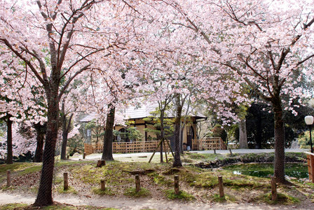 江戸三　特選料理　ペアお食事券（ランチ・ディナー）　160-003