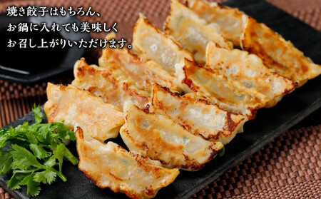 黒豚　冷凍餃子　48個