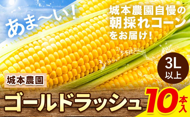 
                  《先行受付開始》産地直送 とうもろこし 朝採れ スイートコーン ゴールドラッシュ 10本セット 特大 熊本 阿蘇 産山村トウモロコシ ギフト 今が旬 コーン 旬 お取り寄せ 人気 大人気 贈答《2026年7月中旬-8月中旬出荷》
                
