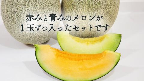 茨城県 メロン 秀品 2色 食べ比べ セット ほのかメロン タカミメロン 赤肉 青肉 1箱 2玉入り 期間限定 フルーツ 果物 茨城県産 【 先行予約 】 【 6月中旬 以降発送】[AV006ya]