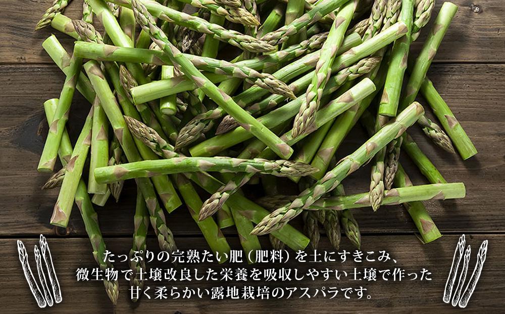 【2026年先行予約】朝採りアスパラ Lサイズ 1kg（500g×2）鮮度保持パック入り 旭川近郊産 露地物(5月中旬発送開始予定) 【 アスパラ アスパラガス 朝採り とれたて 野菜 旬 小分け 保