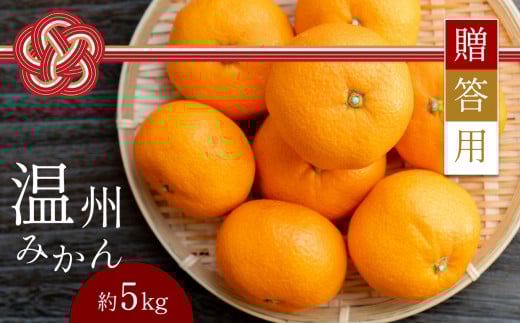 【 贈答用 】 温州みかん 約5kg | フルーツ 果物 くだもの 柑橘 柑橘類 みかん ミカン 温州ミカン ギフト 熊本県 玉名市