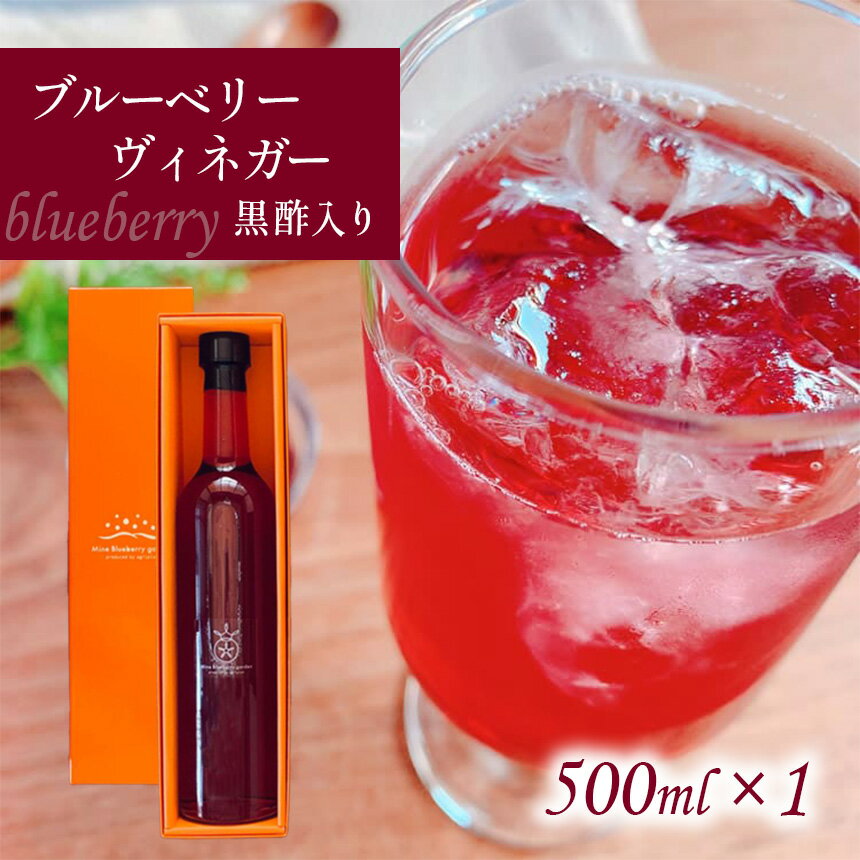 【ふるさと納税】 ブルーベリーヴィネガー黒酢入り ｜ フルーツ 果物 ブルーベリー ヴィネガー 黒酢 お酢 無添加 セット 詰め合わせ 料理 贈答用 山口 美祢市 美祢 特産品