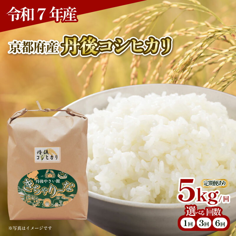 【ふるさと納税】 令和7年産 新米 丹後コシヒカリ 5kg 選べる 回数 30kg 15kg 単品 / 定期便 3回 / 6回 （米 こめ 白米 国産 ブランド米 取り寄せ 京都 ごはん コシヒカリ 2025年度 3ヶ月 6ヶ月 3か月 6ヶ月 JA JA京都 京都府産 京都府
