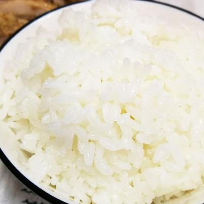 ふるさと納税 松前町 ★令和7年産発送★　伊予あぐり米「にこまる」(精米10kg) |  | 02