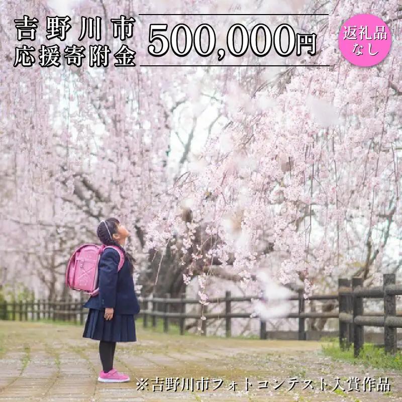 【 返礼品なし 500,000円  】 徳島県 吉野川市 への 寄附 応援寄附金