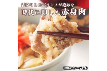 s140 鹿児島県産南国黒牛(肉専用種)切落し(計500g・250g×2パック)霜降りと赤身のバランスが絶妙な牛肉！様々な料理に使いやすい切り落としをお届け【カミチク】