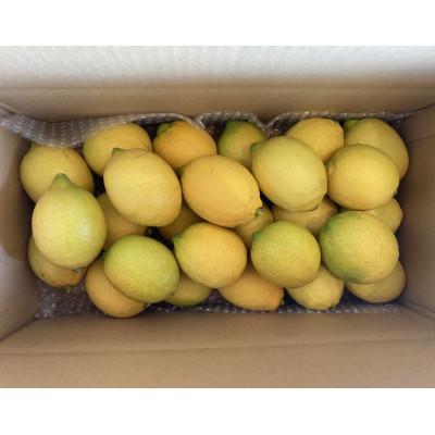 ふるさと納税 大崎上島町 【1月〜4月発送】 瀬戸内レモン 約3kg(30個程度) |  | 03