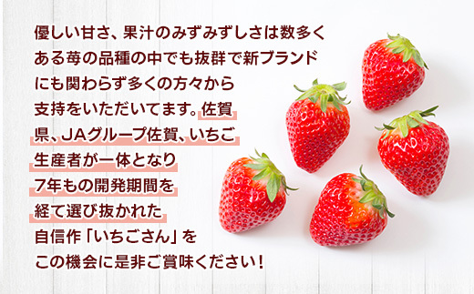 佐賀県産 いちごさん 合計約1kg 250g×4パック 苺 いちご イチゴ 114-B1014_イメージ3